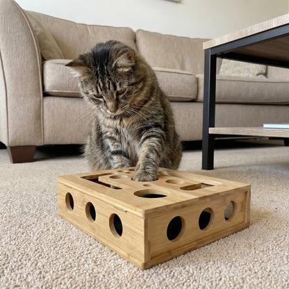 Scratch box